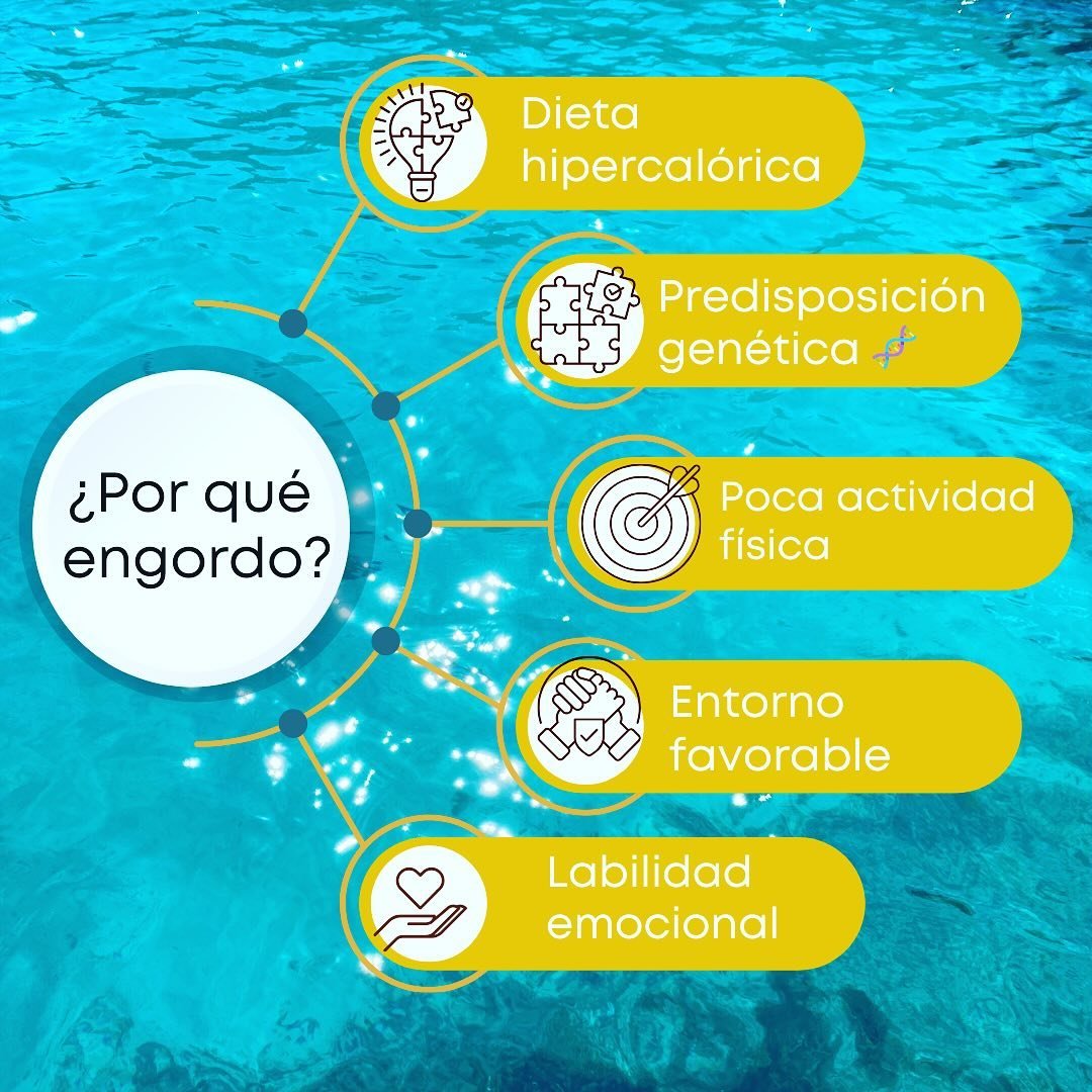 ¿Por qué engordo? Las cinco causas que más se repiten en consulta